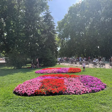 Lovely Flowers Quiet 4th-floor Gem Apartment